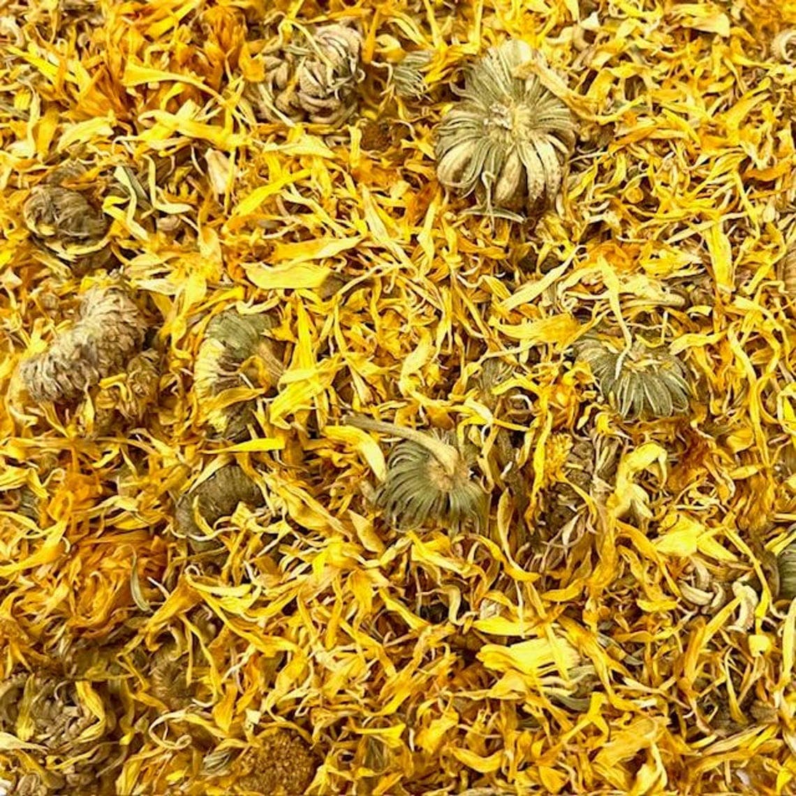 Calendula